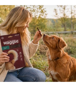UNISZKI Waggle Kabanosiki z Dzika 60g