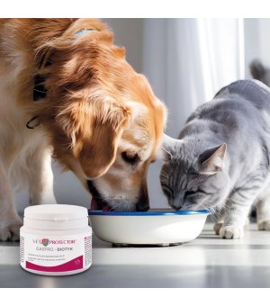 Vet Protector Gastro - Biotyk Forte - multibiotyk dla psów i kotów - opakowanie 60g