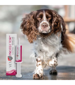 Vet Protector Gastro Maślan dla psów i kotów - 60ml