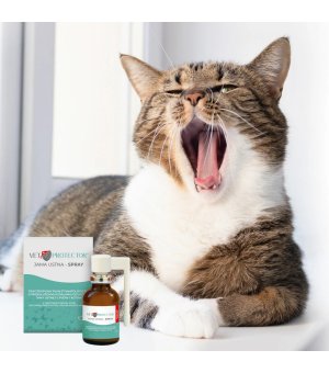 Vet Protector Jama Ustna Spray - płyn do jamy ustniej dla psów i kotów 30ml