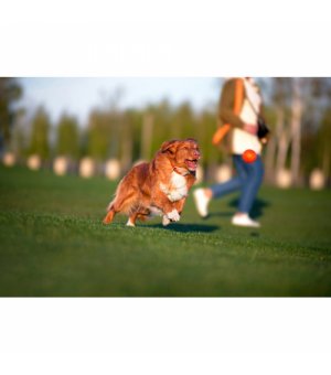 WAU DOG LICKER BALL piłka dla psów 9cm