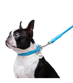 WAU DOG obroża GLAMOUR niebieska M 39-47cm/10mm okrągła