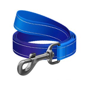 WAU DOG Smycz nylon Mono niebieska S 3m/15mm