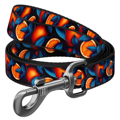 WAU DOG Smycz nylon Pomarańcze L-XXL 3m / 25mm