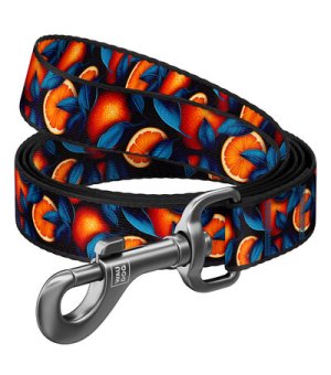 WAU DOG Smycz nylon Pomarańcze L-XXL 3m / 25mm