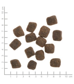 WILDES LAND DOG Soft Lamm - półwigotna karma dla psów Jagnięcina 1,5kg