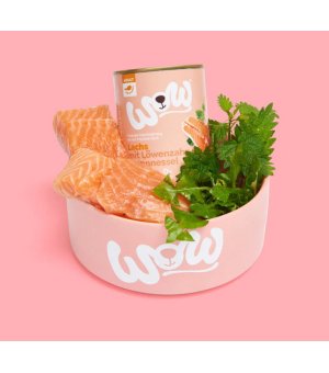 WOW Lachs - karma mokra dla psów dorosłych - Łosoś z Mniszkiem i Pokrzywą 400g