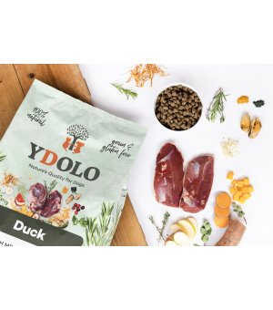YDOLO Healthy Pure Duck karma półwilgotna dla psów dorosłych 2,5kg