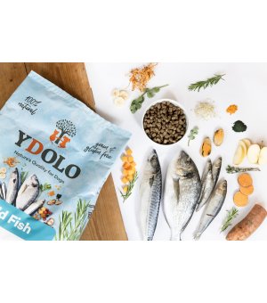 YDOLO Healthy Pure Wild Fish karma półwilgotna dla psów dorosłych 2,5kg