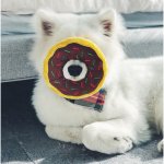 🎄🎁 ZIPPY PAWS pluszowy Donut standard Piernikowy 23cm